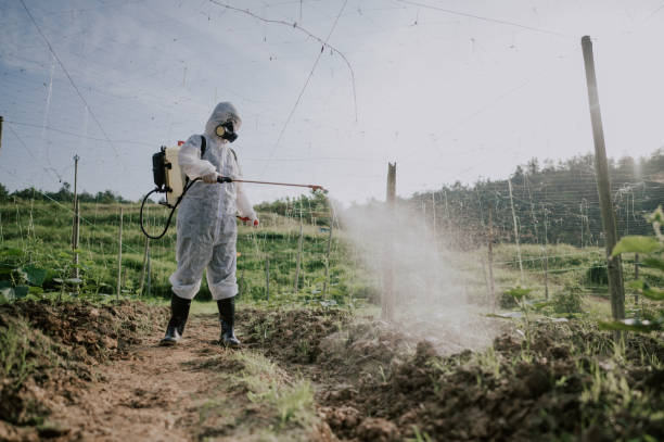 Best Affordable Pest Control Services  in Altamont, OR