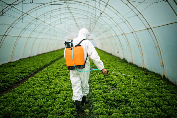 Best Pest Control Near Me in Altamont, OR