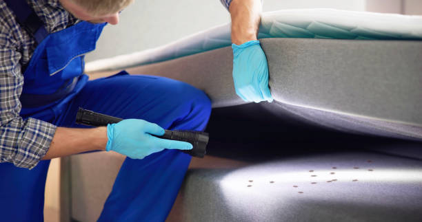 Best Termite Control Services  in Altamont, OR